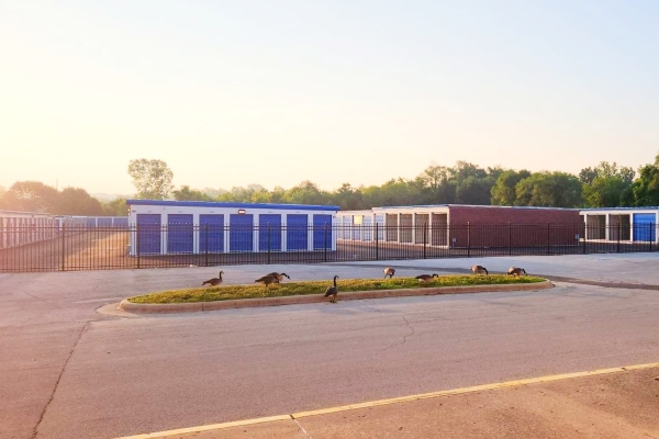 Facility photo: //images.sparefoot.com/medium/24167168b80ab18dabb.jpg