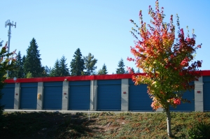 Alderwood Safe Storage - Photo 5