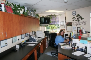 Everett Self Storage Depot - Photo 6