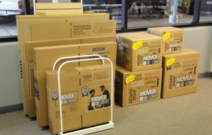 SOUTH COAST SELF STORAGE - Photo 8