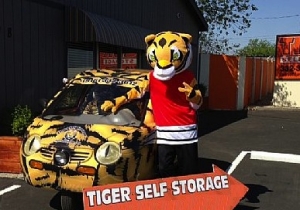Tiger Self Storage Picture of Tiger Self Storage