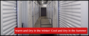 Whirlwind Storage Hurricane Picture of Whirlwind Storage Hurricane