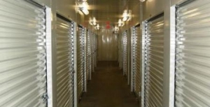 Colonial - Bowie - Photo 3
