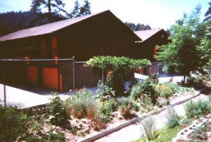 Mountain Storage - Photo 3
