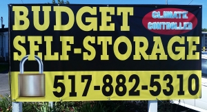 Budget Self Storage Picture of Budget Self Storage