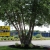 A1 Access Self Storage - Thumbnail 2