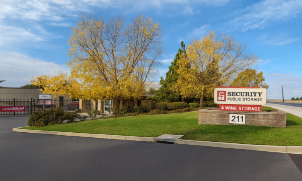 Security Public Storage