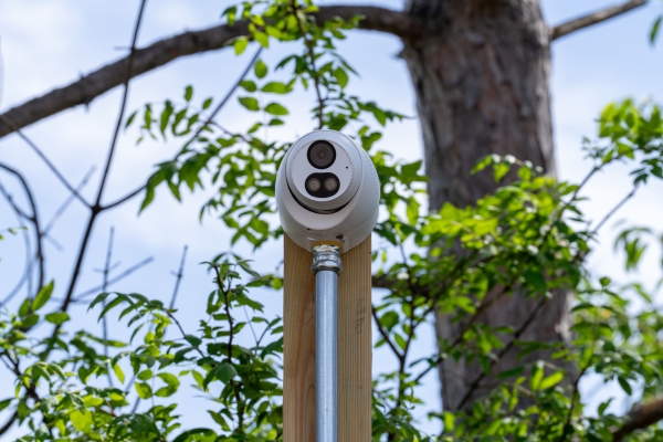 Facility photo: //images.sparefoot.com/medium/2378076914b43752bc7.jpg