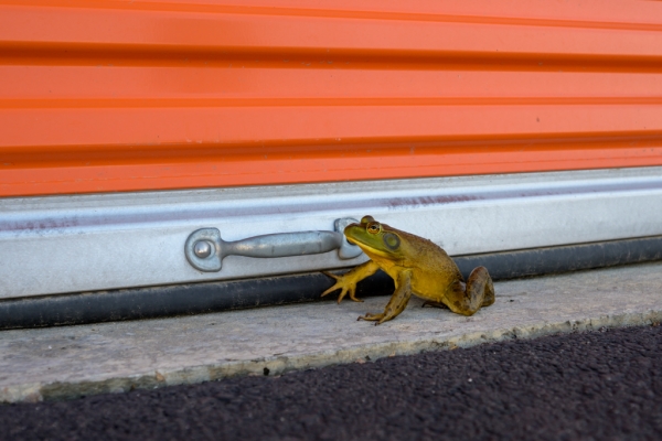 Facility photo: //images.sparefoot.com/medium/2433666938bc61eba72.jpg