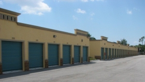 Pineapple Storage