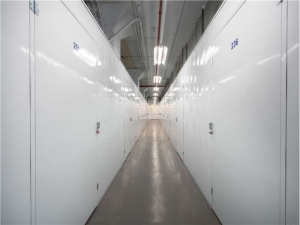 Extra Space Storage - 8382 - Chicago - W Adams St - Photo 5