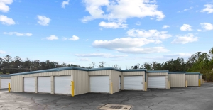 Storage Sense - Ridgeland - Photo 18