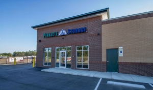 Pinnacle Storage of West End - Photo 2