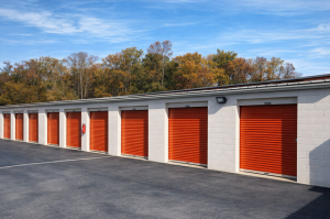 Public Storage - Greenville - 28 Woods Lake Road - Photo 2