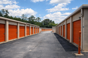 Public Storage - Decatur - 4200 Snapfinger Woods Drive - Photo 2