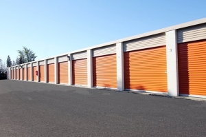 Public Storage - Roselle - 1295 W Lake Street - Photo 2