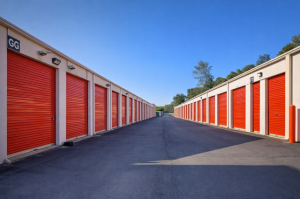 Public Storage - Seattle - 10020 Martin Luther King Jr Way S - Photo 2