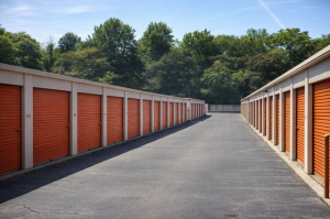 Public Storage - Greenville - 36 Pine Knoll Drive - Photo 2