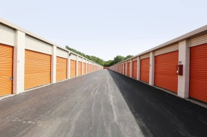 Public Storage - Chicago - 939 E 95th Street - Photo 2