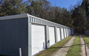 Ms. Lillian's Self-Storage - Ball Ground - Photo 7