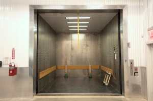 Treasure Island - Arcis - Photo 3