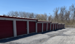Storage Sense Reading- Sinking Spring - Photo 2