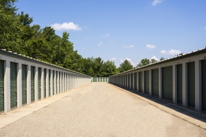 Devon Self Storage - 9126 - Felch - Photo 7