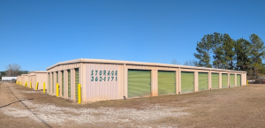Ms. Lillian's Self-Storage - Live Oak North - Photo 10