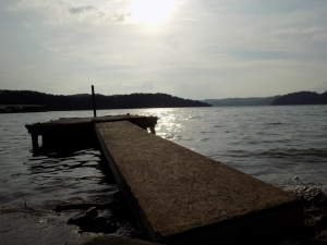 Boat Storage at Dale Hollow - Byrdstown - Photo 2