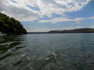 Boat Storage at Dale Hollow - Byrdstown - Photo 3