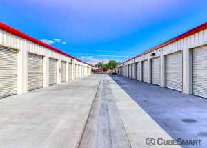 CubeSmart Self Storage - 2925 West Overton Road - Photo 2