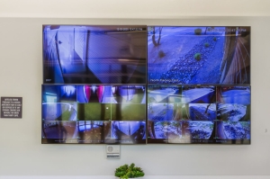 Extra Space Storage - 3913 - Scottsdale - Pima Rd - Photo 7