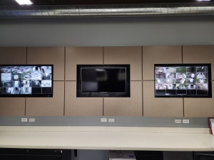 Extra Space Storage - 3463 - Naperville - Washington St - Photo 9