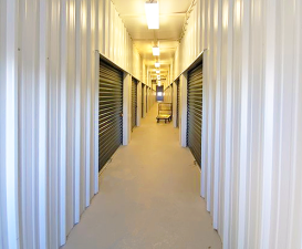 54 APS-Plainfield - Photo 6