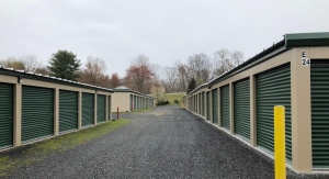 Storage Sense - Walden - Photo 13