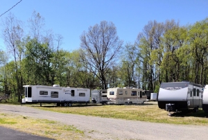Storage Sense - Jackson - McDevitt - Photo 15