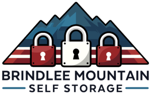 Brindlee Mountain Self Storage - Photo 3