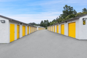 BuxBear Storage Aptos - Photo 2