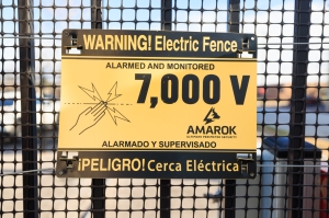 Premier Auto Storage & Services - Photo 6