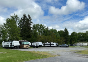 LocalStorage - Clarence - Photo 5