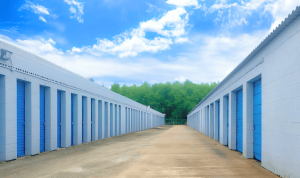 Radiant Storage - Beaumont/I10 (BPT) - Photo 2
