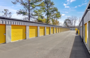 173 - Storage King USA - Pine Barren Road - Photo 9