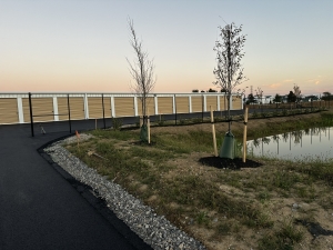 Unlimited Storage - Photo 5