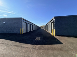 Spacebox Olive Branch - Photo 5