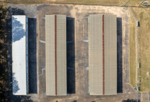 The Storage Place - Henderson/Blue Diamond