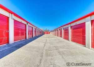 CubeSmart Self Storage - Frisco - 10121 Warren Parkway - Photo 3