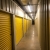 Storage Lion - Pea Ridge